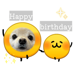 wasabi_20260306233236