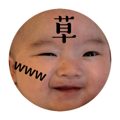 hachi_20260306231346