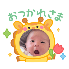 michi_20260306231357