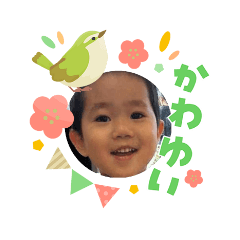 ruriruri_20260306231643