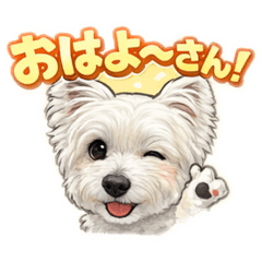 chuta_20260306232300