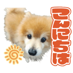 Tomoha_20260306231740