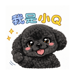小Q的生活日常