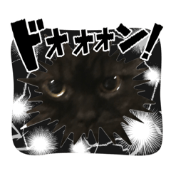 Yoshi_20260307090038