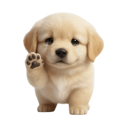 หมาน้อยน่ารัก 6 (NTZ)