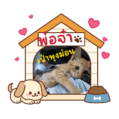 Ponyyim99