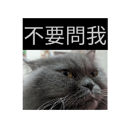 香女士吵吵鬧鬧的99天