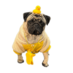 蚵仔愛吃雞蛋糕第二趴