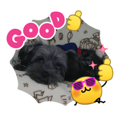 kamisaki_20260306215820