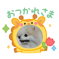 nobsan_20260306215935