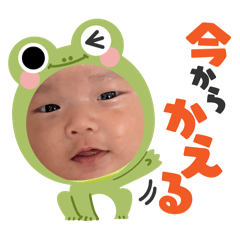 ba_orchid_20260306215855