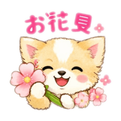 Live the daily life of Yurukawa Pome