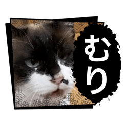 mariko_20260306220347