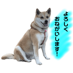 Suzu_20260306213905