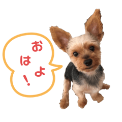 YUICHI_20260307114003