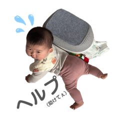 HACHI_20260307114318