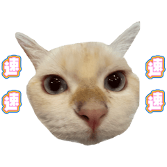 冰嘎