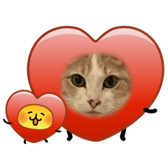 ikkun_20260306223551