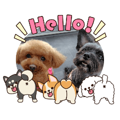 nonononono_20260307132246