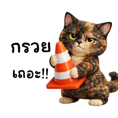 Chaoguay the Messy Cat