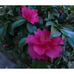 Moritahirofumi_20260304115206