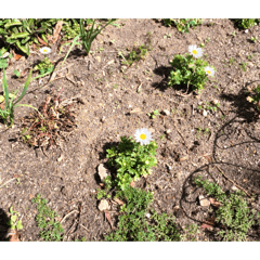 Moritahirofumi_20260304114823