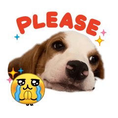 Palatt_20260306231726