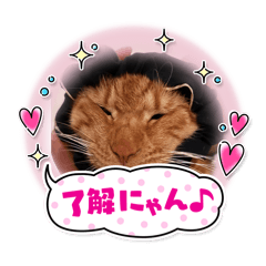 ayataro_20260307132742