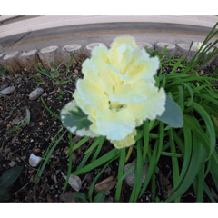 Moritahirofumi_20260304120736