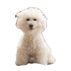 yoshimi_20260307144600