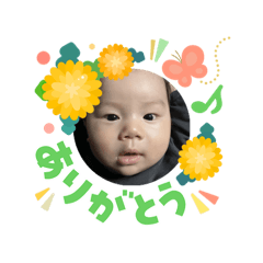 kyaaa_20260307170847