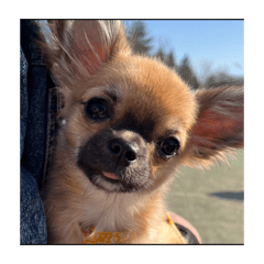 Takumi Yamashita_20260307170410