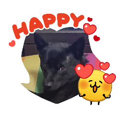 sakurakagumiyakoma_20260307160707