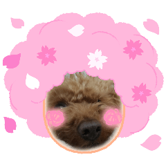 nonononono_20260307172203