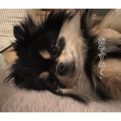 tanten_20260307165141