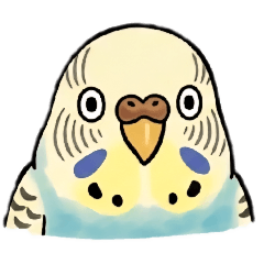 monyo_20260307181733