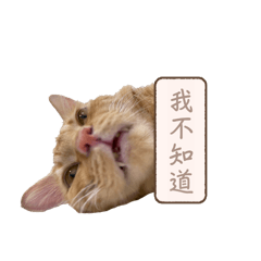 林小蚵の小情緒