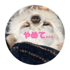 mugi_20260307175306