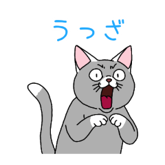 PAKAMOGOLY_20260307201112