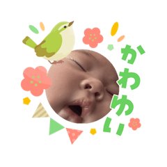 kiiii_20260307200656