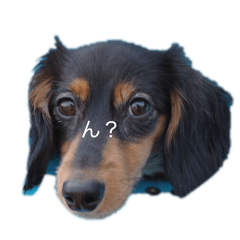 miichan_20260307190703