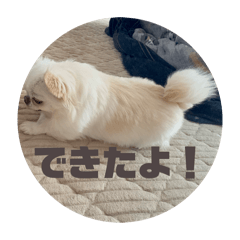 mugi_20260307180455
