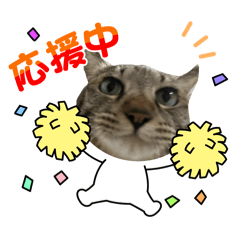 hihihi_20260307211752