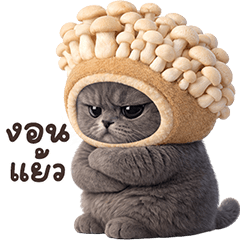 ❤️แมวเทา หัวเห็ดออรินจิ❤️