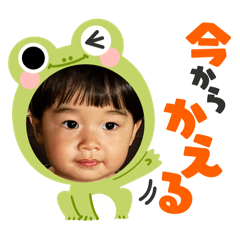 miya_20260307224206