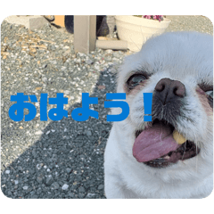 mugi_20260307191547