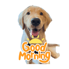 布丁 狗 問候語