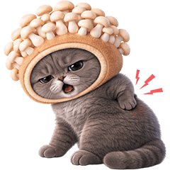 Grey Cay Oranjii (No Text)