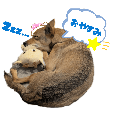 Suzu_20260307232927