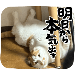 asuka_20260307232339